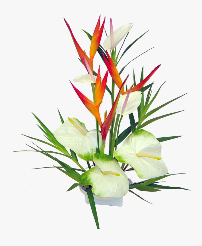 Heliconia - Tropical Flower Bouquet Png, Transparent Png, Free Download