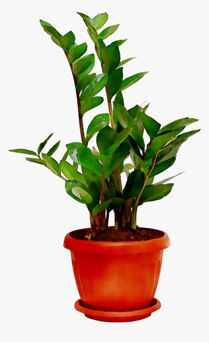 Plants Houseplant Room Sala Free Frame Clipart - Flowerpot, HD Png Download, Free Download