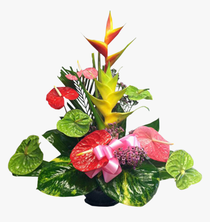 Anthurium, HD Png Download, Free Download