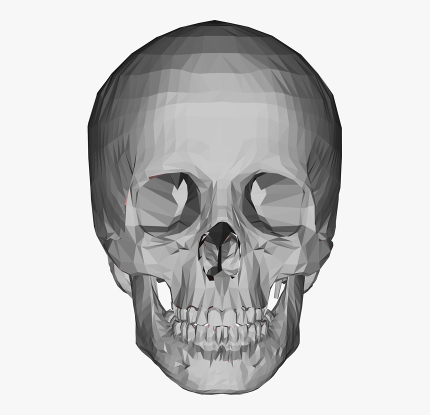 3d Skull Png - 3d Model Skull Png, Transparent Png, Free Download