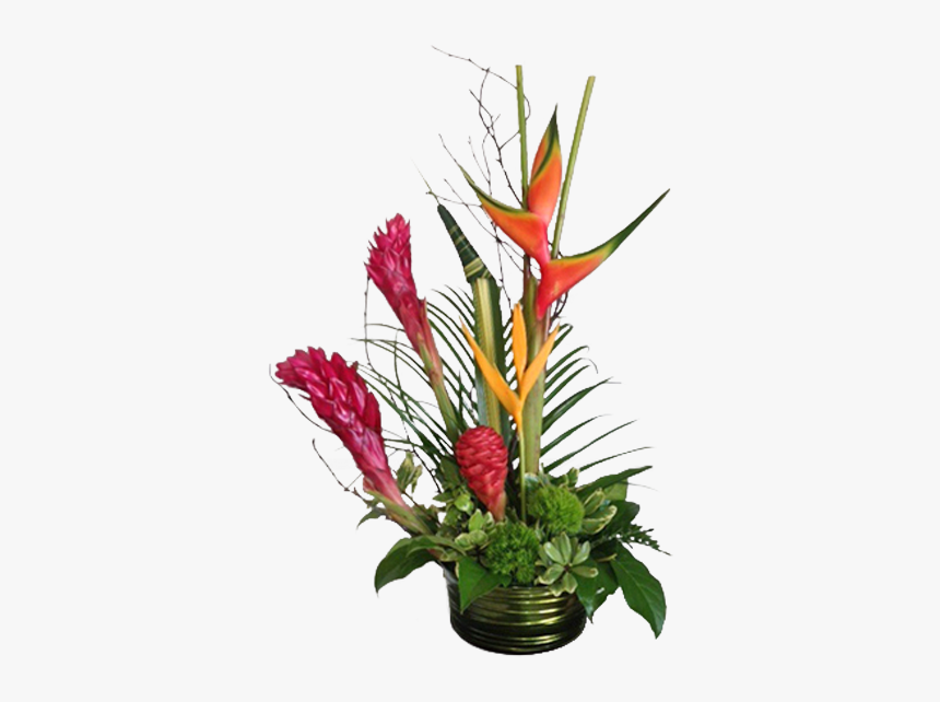 Bromelia, HD Png Download, Free Download