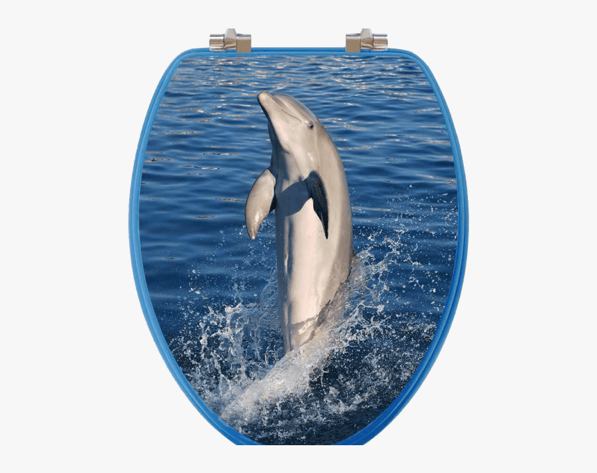 Dolphins Elongated Toilet Seat - Dolphin, HD Png Download, Free Download