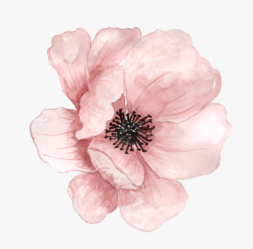 Watercolor Plants Png - Flower Watercolor Art Png, Transparent Png, Free Download