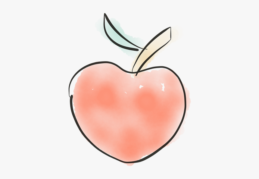 Apple, Doodle, Fruit, Sketch, Hand Drawing, Watercolor - Heart, HD Png Download, Free Download
