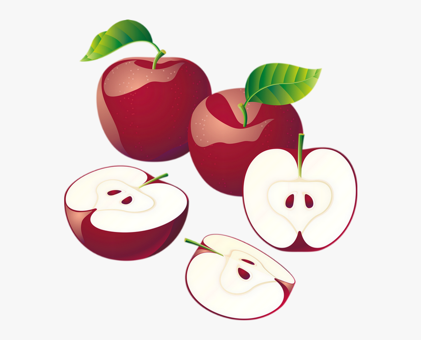 Transparent Apple Drawing Png - Vector Apple, Png Download, Free Download