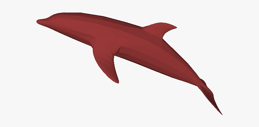 Dolphin, HD Png Download, Free Download