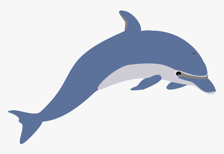 Clip Art Facts For Kids And - Transparent Background Dolphin Clip Art, HD Png Download, Free Download