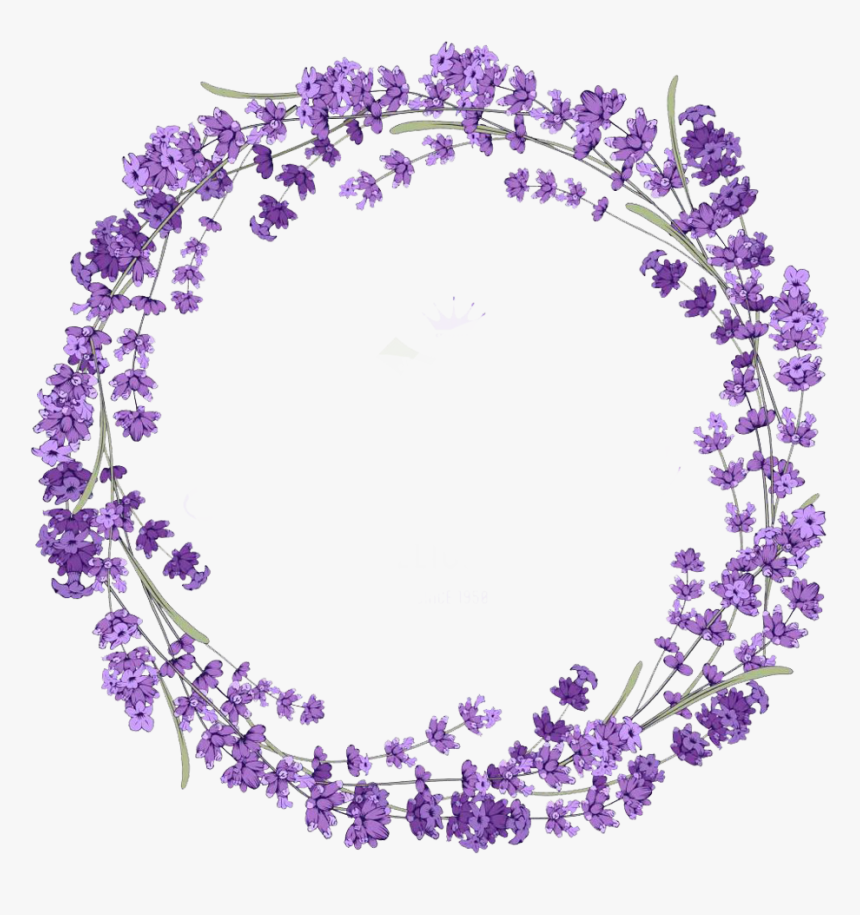 Transparent Photography Clipart Png - Purple Flower Circle Png, Png Download, Free Download