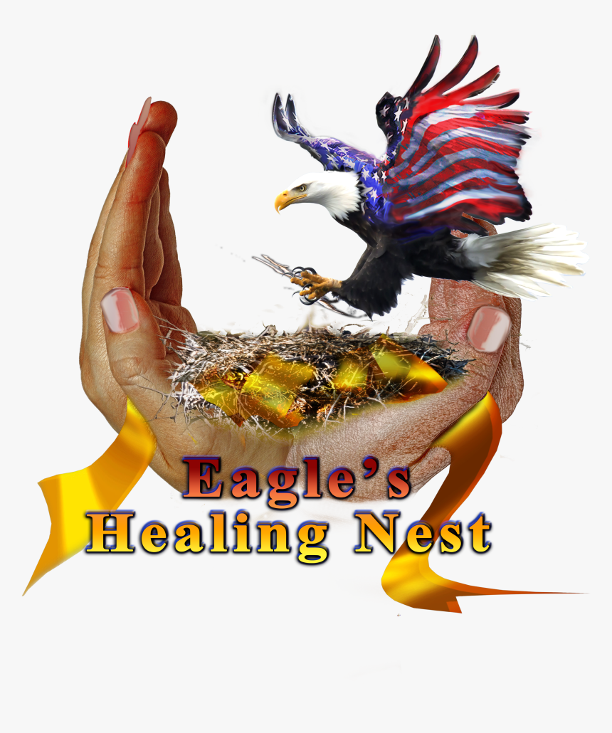 Wounded Warriors, Eagle’s Healing Nest Special Guests - Illustration, HD Png Download, Free Download