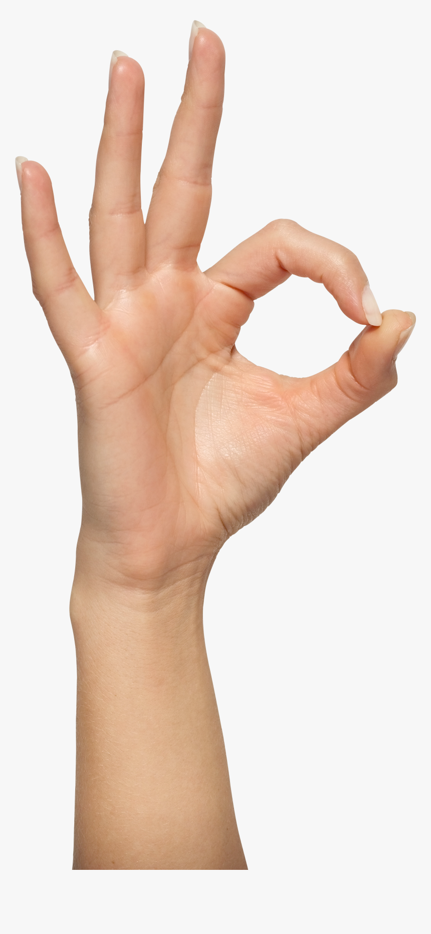 Transparent Ok Hand Png, Png Download, Free Download