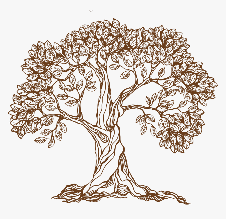 Old Drawing Apple Tree - Pencil Drawing Of Banyan Tree, HD Png Download, Free Download