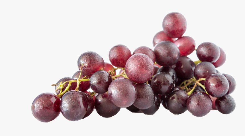 Transparent Grapes Vector Png, Png Download, Free Download