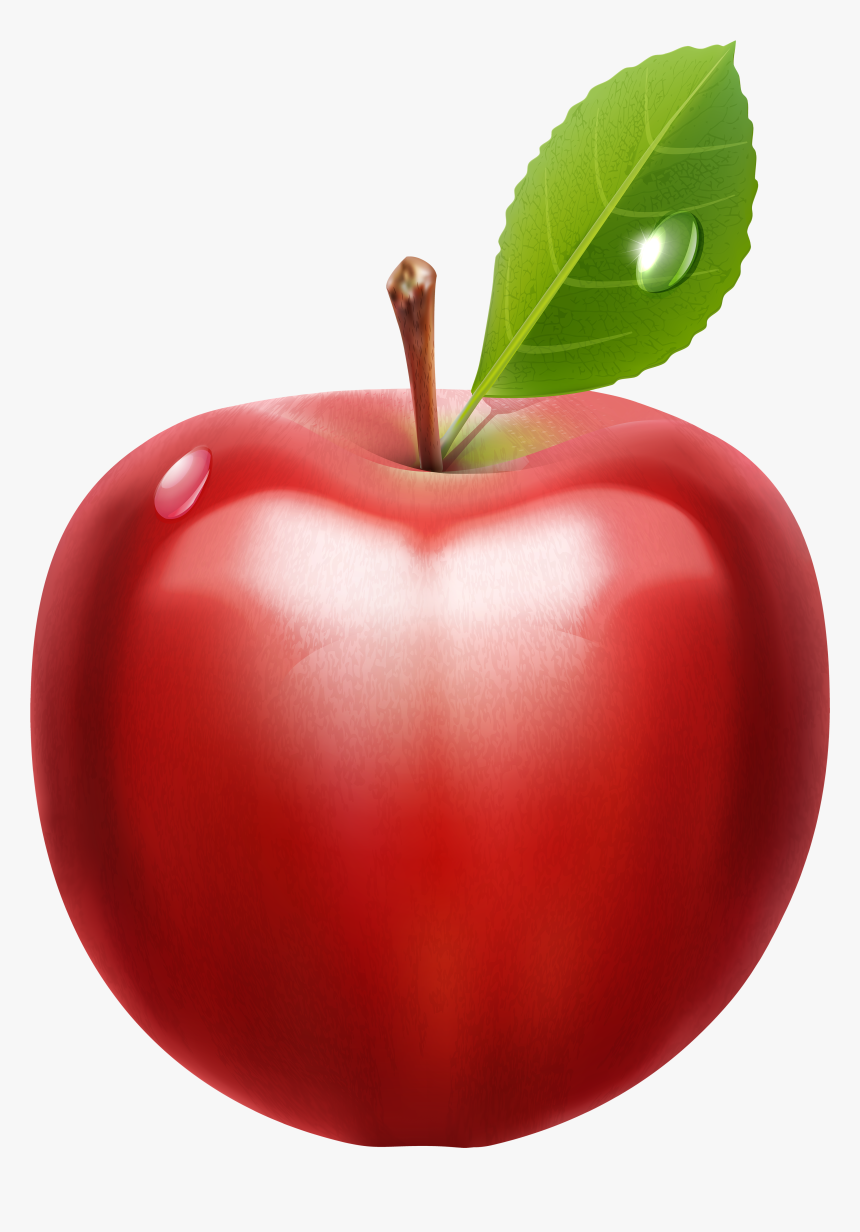 Apple Drawing Png, Transparent Png, Free Download