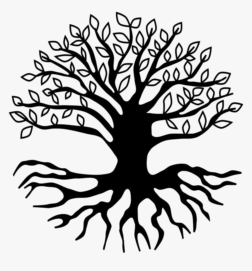 Transparent Leafless Tree Png - Tree Roots Clipart Png, Png Download, Free Download