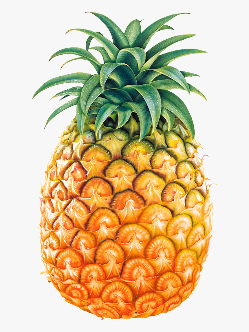 Pineapple Png, Transparent Png, Free Download