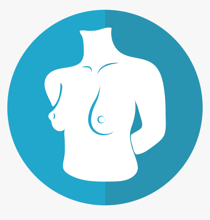 Breast Icon, Female Torso, Woman, Female, Breast, Adult - Breast Icon Png, Transparent Png, Free Download