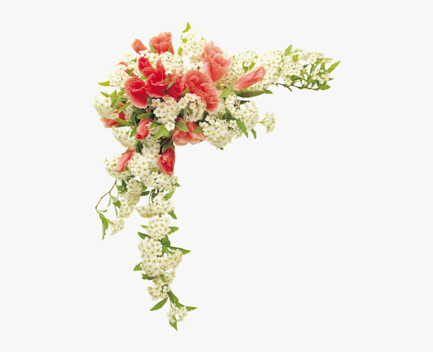 Real Flower Border Png, Transparent Png, Free Download