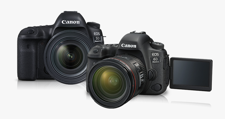 Canon 6d Mark Ii 24 105mm, HD Png Download, Free Download