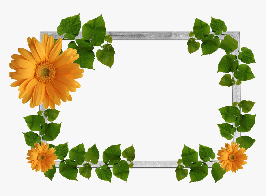 Flower Frame Png, Wallpaper Backgrounds, Nature Plants, - Flower Plants Background Png, Transparent Png, Free Download