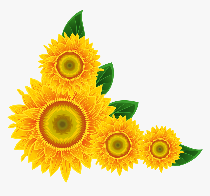 Sunflower Corner Decoration Png Clipart Image - Sunflower Corner Border Png, Transparent Png, Free Download