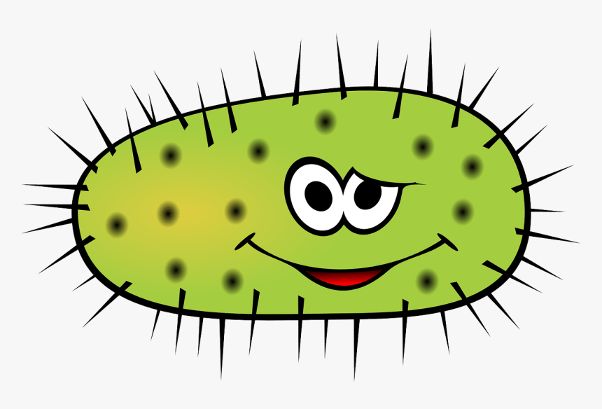 Spiky Bacteria Cartoon - Transparent Background Germs Clipart, HD Png Download, Free Download