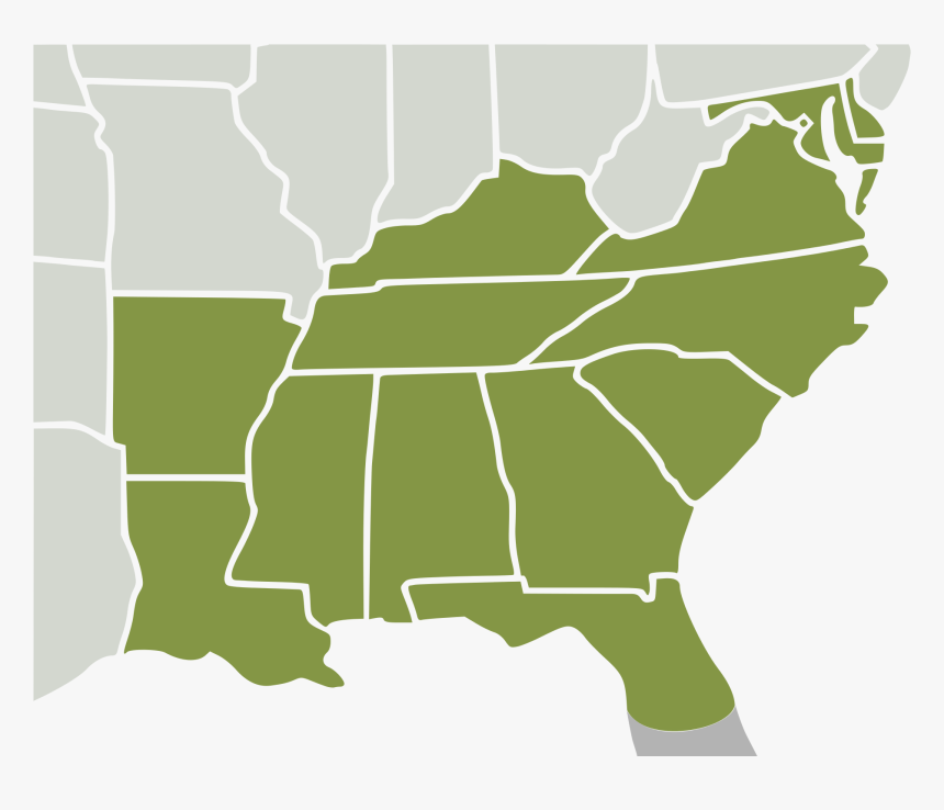 Map United Of Florida Coast States Southeast Clipart - Southeast Usa Map Vector, HD Png Download, Free Download