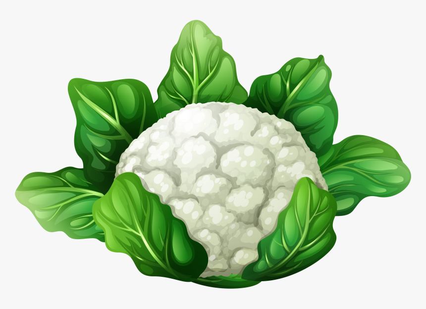 Clipart Vegetables Cauliflower - Clipart Cartoon Cauliflower, HD Png Download, Free Download