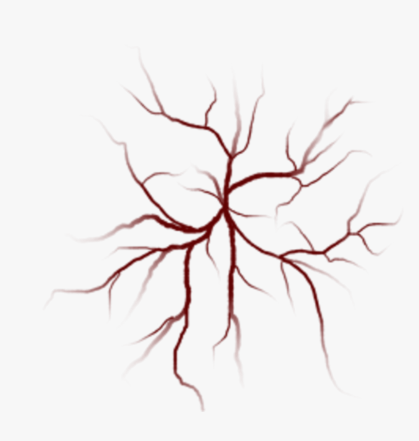 Transparent Vains Png - Transparent Veins Png, Png Download, Free Download