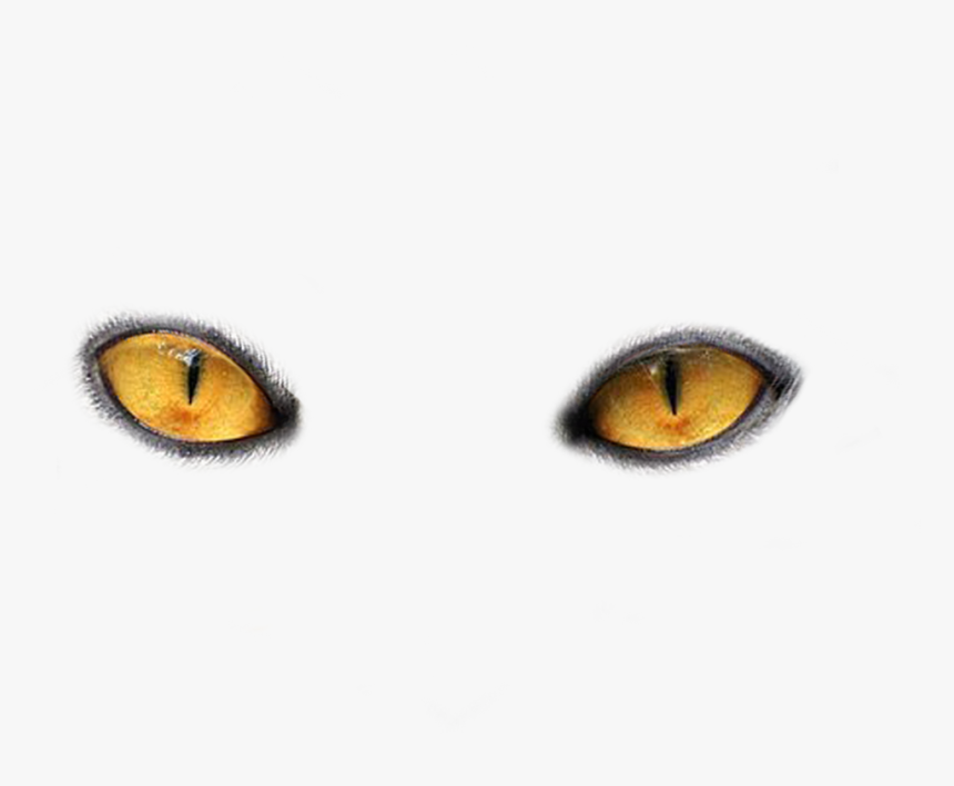 Scary Eyes Png - Cat Eyes Transparent Background, Png Download, Free Download