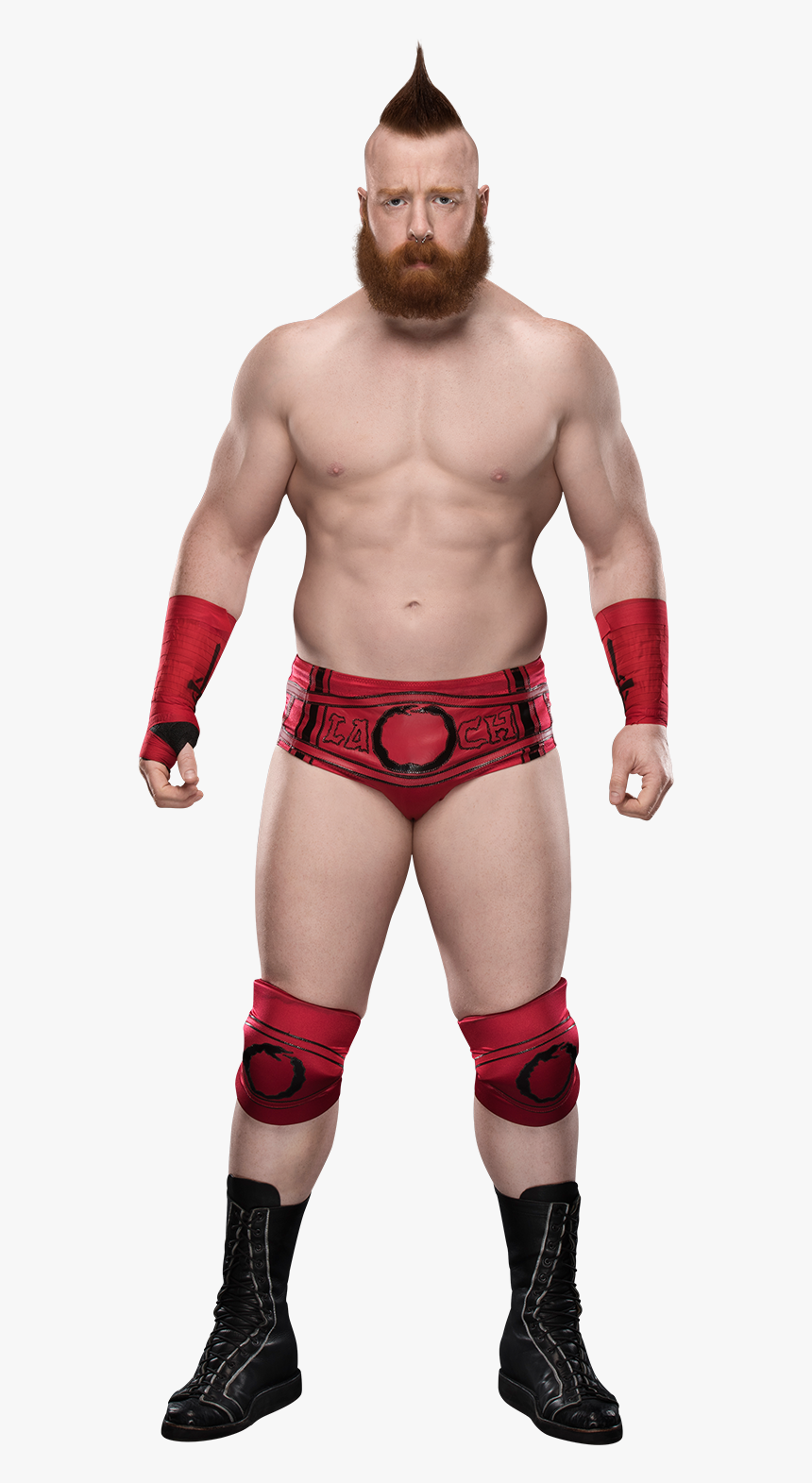 Wrestling,combat Sport,muscle,contact Sport,action - Sheamus Png 2019, Transparent Png, Free Download