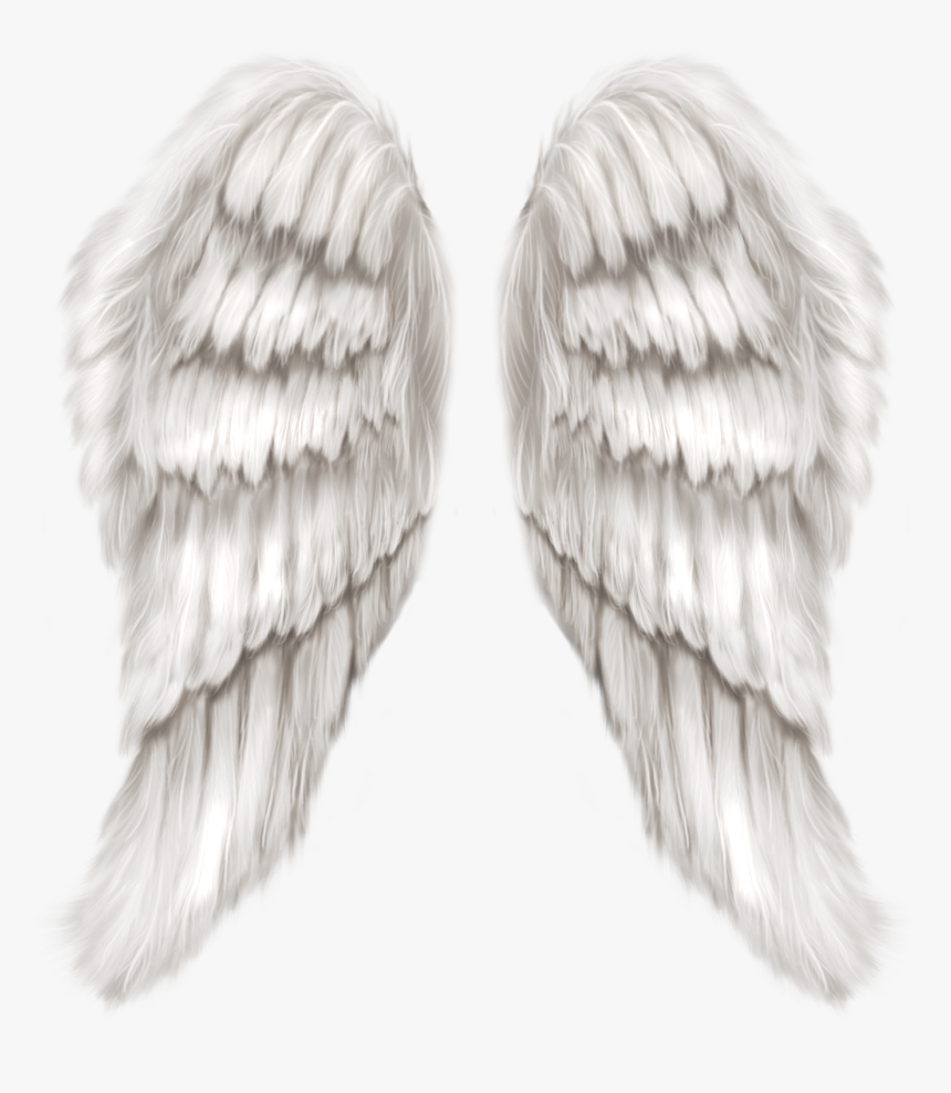 Cherub Wing Angel - White Angel Wings Png, Transparent Png, Free Download