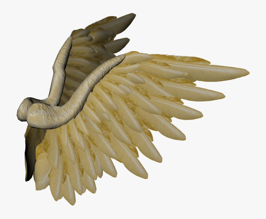 Transparent Cherub Wings Png - Eagle, Png Download, Free Download