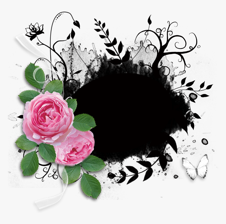 Garden Roses, HD Png Download, Free Download