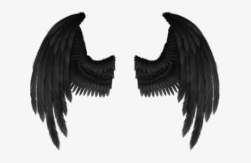 Cherub Angel Wing Fantasy Black Angel Wings Png Transparent Png Kindpng - how to get free black wings in roblox