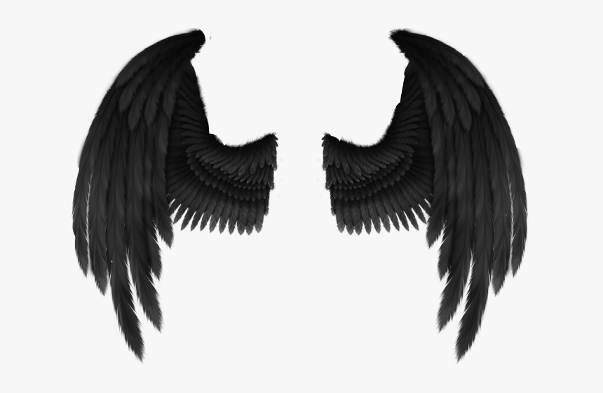 Cherub Angel Wing Fantasy - Black Angel Wings Png, Transparent Png, Free Download