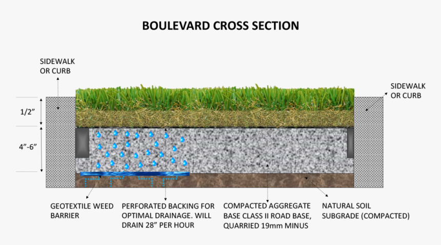 Boulevard Well Cross Section The Art Of Synthetic Turf - Turf Grass Section, HD Png Download, Free Download