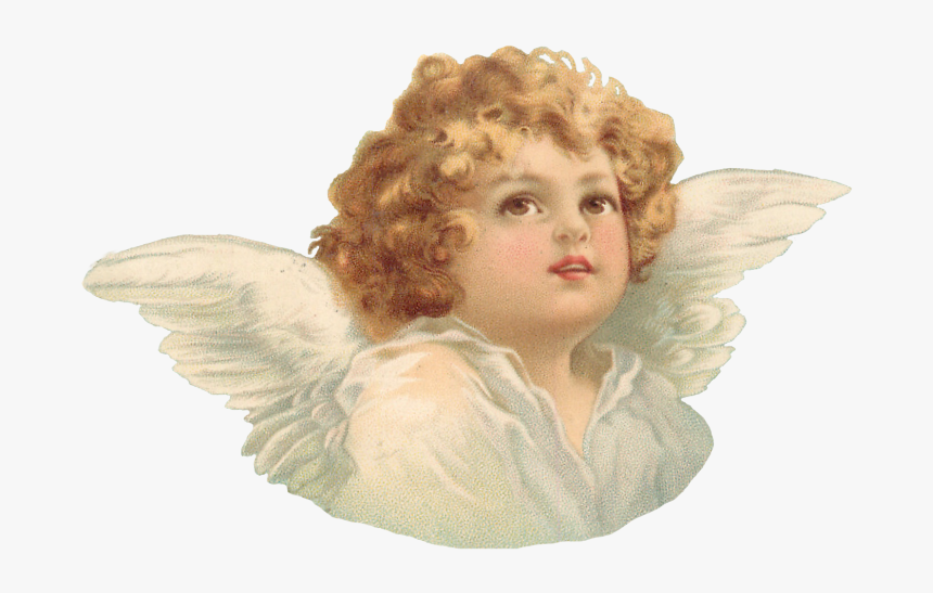 Cherub Png, Transparent Png, Free Download