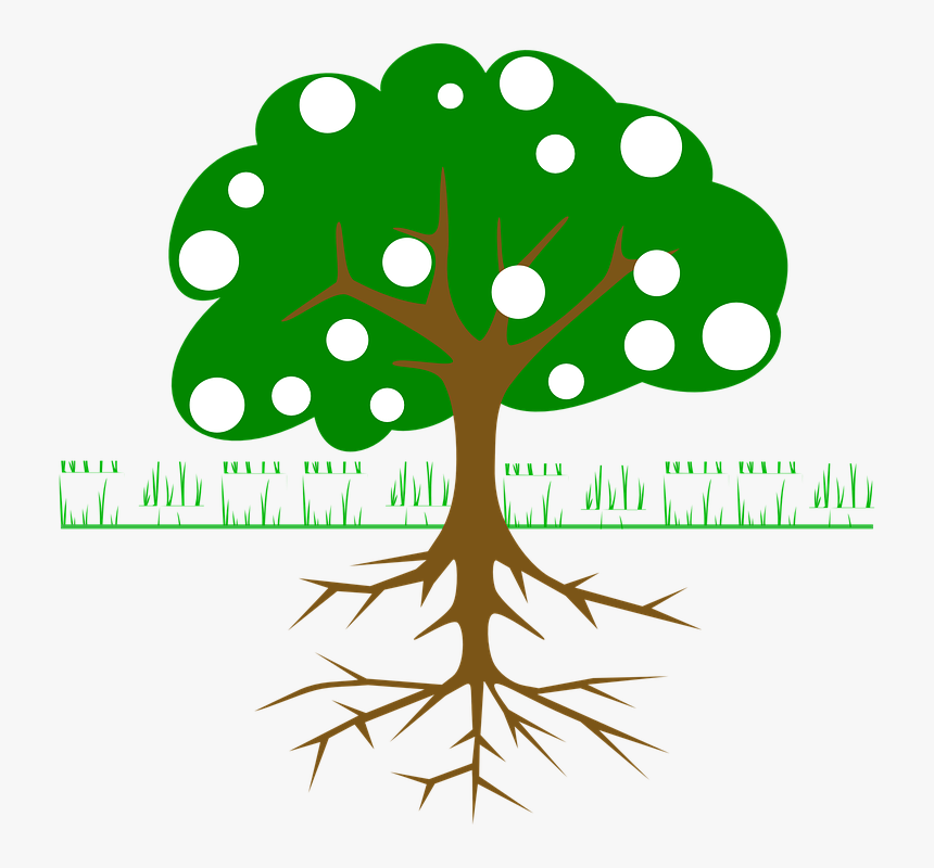 Tree, Roots, Fruits, Grass, Green, Cross Section - Tree With Roots And Apples, HD Png Download, Free Download