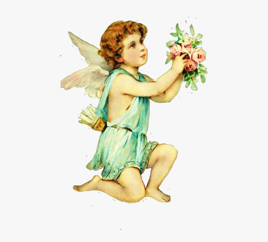 #angels #cherub #wings #vintage #tumblraesthetic #floral - Angel, HD Png Download, Free Download