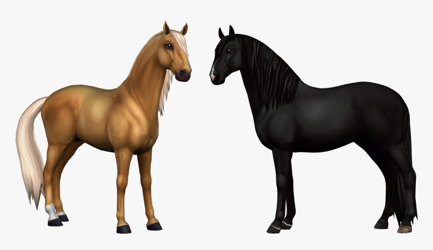 Horse Png -star Stable Horse Png , Png Download - Black Star Stable Lusitano, Transparent Png, Free Download