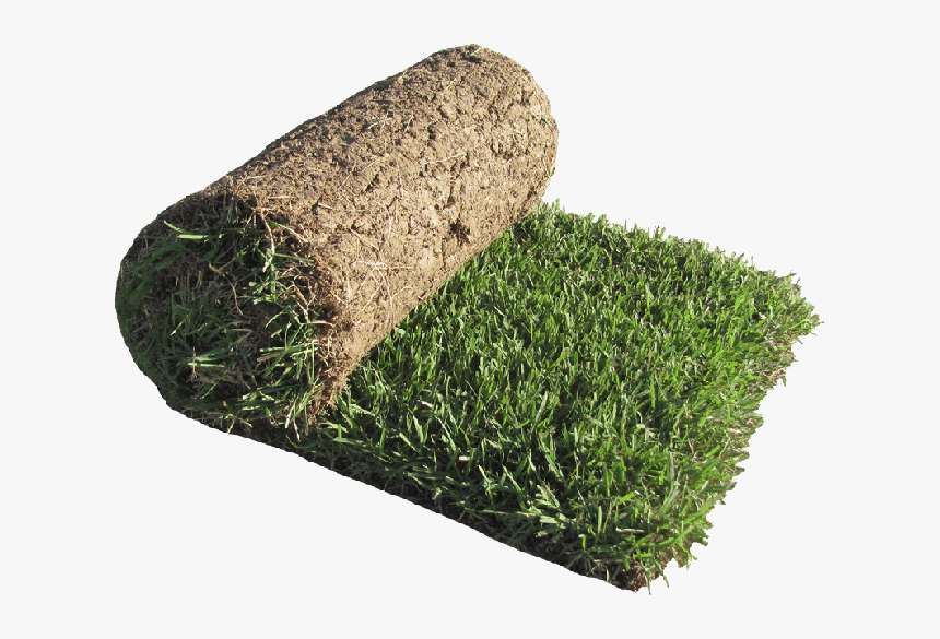 Zenith Zoysia Roll"
 Title="zenith Zoysia Roll"
 - Sod Grass, HD Png Download, Free Download