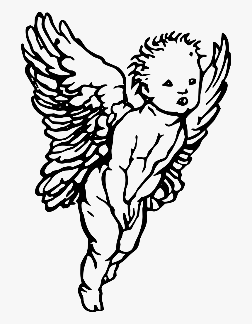 Cherub Angel Drawing, HD Png Download, Free Download