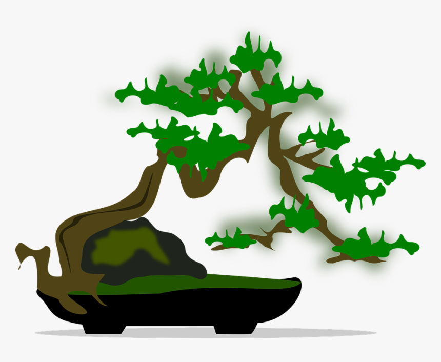 Plant,leaf,houseplant - Bonsai Graphics Png, Transparent Png, Free Download