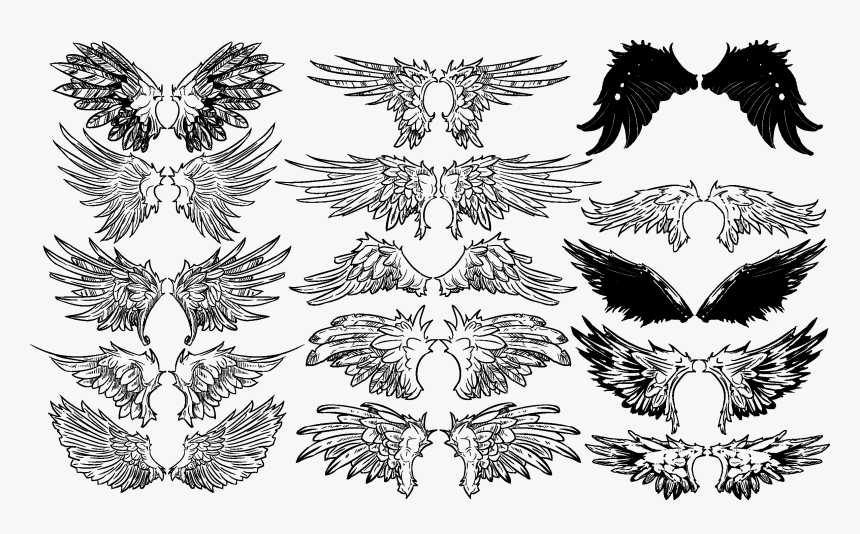 Vintage Wings Vector Set - Angel Wing Drawing Reference, HD Png Download, Free Download