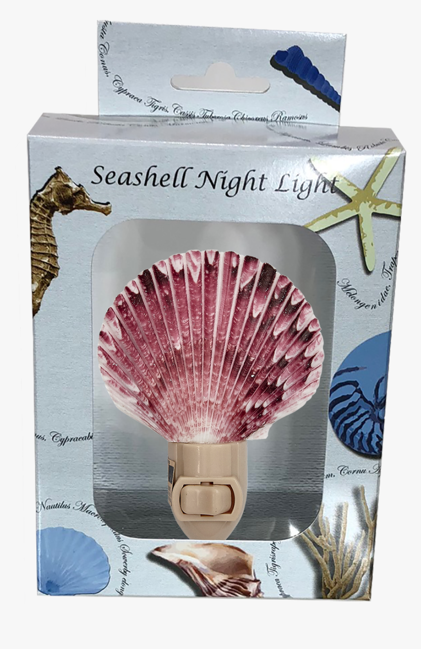 Purple Scallop Boxed Night Light - Nightlight, HD Png Download, Free Download