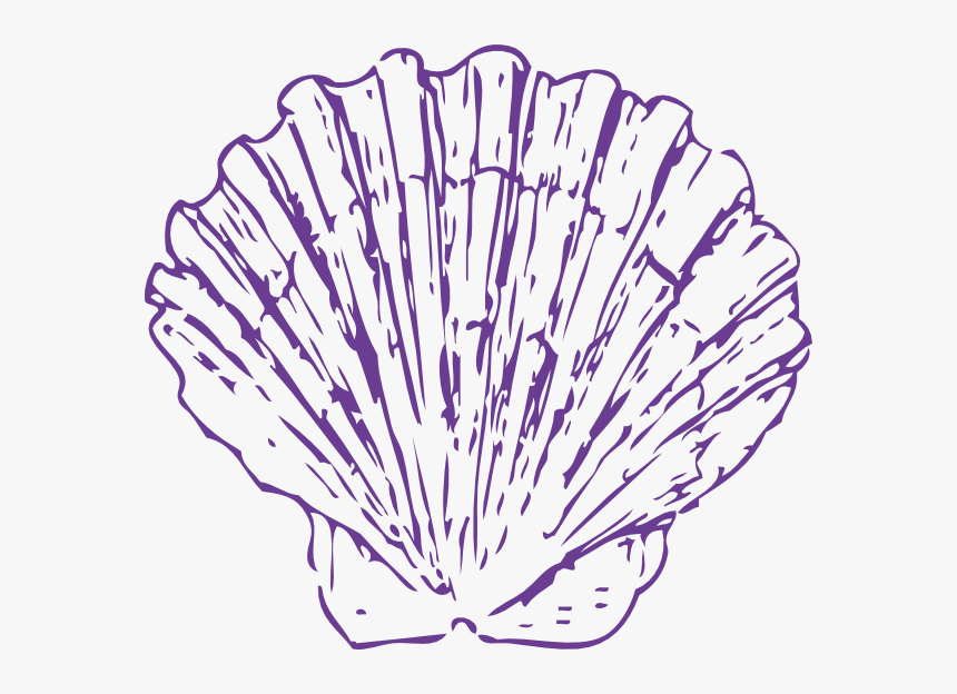 Blue Seashell Png - Seashell Clipart Transparent Background, Png Download, Free Download