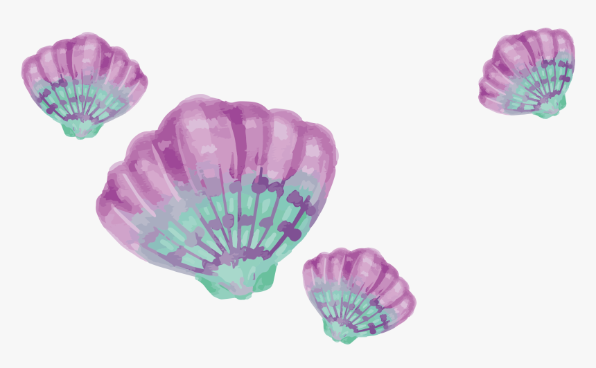 Transparent Watercolors Clipart - Watercolor Shell Png Border, Png ...