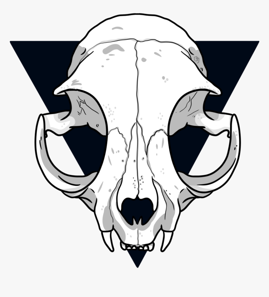 Cat Skull Drawing - Easy Cat Skull Drawing, HD Png Download, Free Download