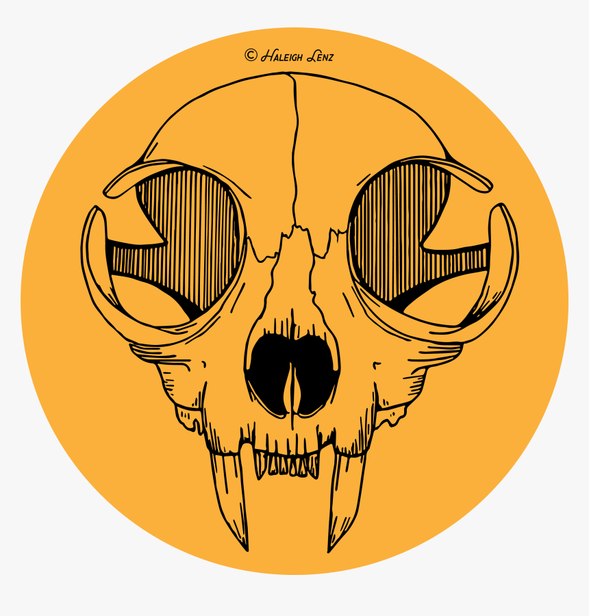 Transparent Cat Skull Png - Cat Skull Vector Free, Png Download, Free Download