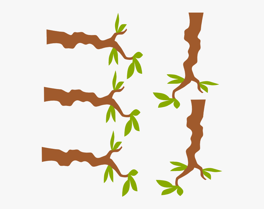 Mcdonalds Branch Clipart Jungle Tree Stunning Transparent - Clipart Branches Png, Png Download, Free Download